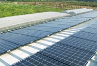 聯發生物科技太陽能發電系統