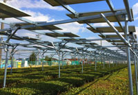 靜岡農業大棚太陽光電系統側面照