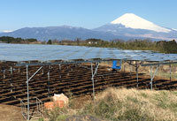 靜岡農業大棚太陽光電系統正面照