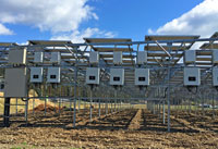 靜岡農業大棚太陽光電系統側面照