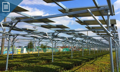 靜岡農業太陽能大棚