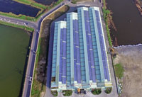 城西固化廠太陽光電系統空拍照
