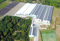 上鮮牧場太陽光電系統空拍照