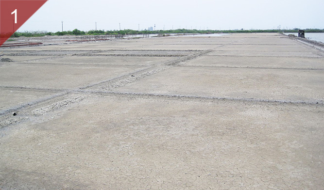 鹽業用地-目前絕大多土地已不再被作為製鹽使用，為延續老祖先們驗證的最佳日照場域，以兼顧生態、環保與景觀等作法，不僅活化可利用土地、提升鹽業用地使用效益，並增加國家自主能源供給。